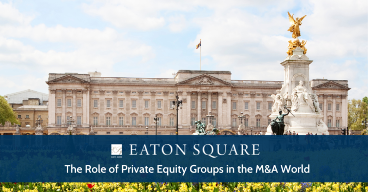 The Role of Private Equity Groups in the M&A World